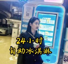 成都小雪花芝士冰淇淋24小時自動冰淇淋機(jī)